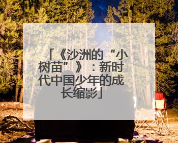 《沙洲的“小树苗”》：新时代中国少年的成长缩影