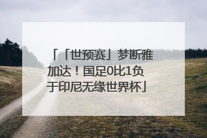 「世预赛」梦断雅加达！国足0比1负于印尼无缘世界杯