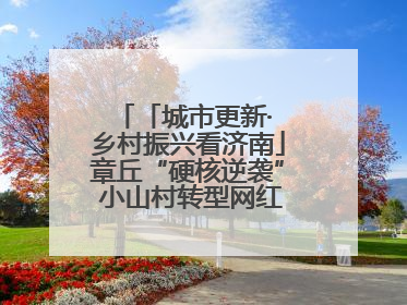 「城市更新· 乡村振兴看济南」章丘“硬核逆袭” 小山村转型网红打卡地