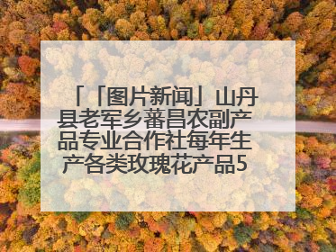 「图片新闻」山丹县老军乡蕃昌农副产品专业合作社每年生产各类玫瑰花产品500多吨