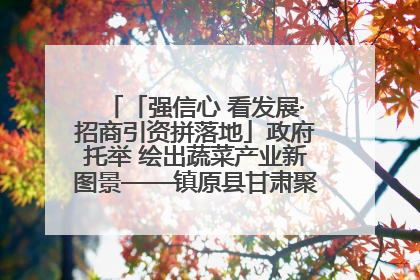 「强信心 看发展·招商引资拼落地」政府托举 绘出蔬菜产业新图景——镇原县甘肃聚广利现代设施蔬菜种植基地见闻