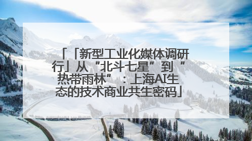 「新型工业化媒体调研行」从“北斗七星”到“热带雨林”：上海AI生态的技术商业共生密码