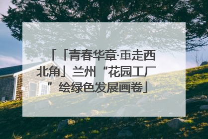「青春华章·重走西北角」兰州“花园工厂”绘绿色发展画卷