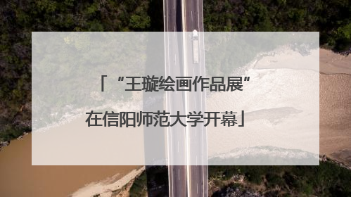 “王璇绘画作品展”在信阳师范大学开幕