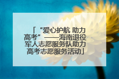 “爱心护航 助力高考”——海南退役军人志愿服务队助力高考志愿服务活动