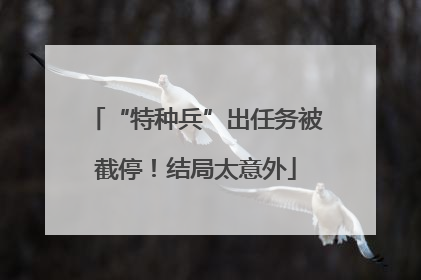 “特种兵”出任务被截停！结局太意外