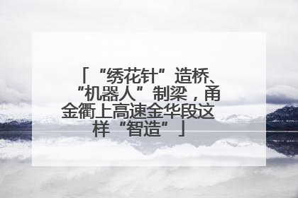 “绣花针”造桥、“机器人”制梁，甬金衢上高速金华段这样“智造”
