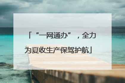 “一网通办”，全力为夏收生产保驾护航