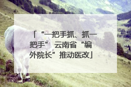 “一把手抓、抓一把手” 云南省“编外院长”推动医改