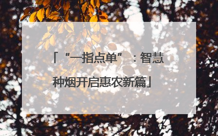 “一指点单”：智慧种烟开启惠农新篇
