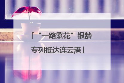 “一路繁花”银龄专列抵达连云港