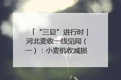 “三夏”进行时｜河北麦收一线见闻（一）：小麦机收减损“竞技” 农机高手麦田“过招”