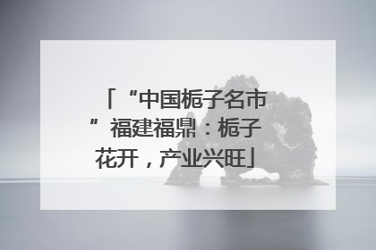 “中国栀子名市”福建福鼎：栀子花开，产业兴旺