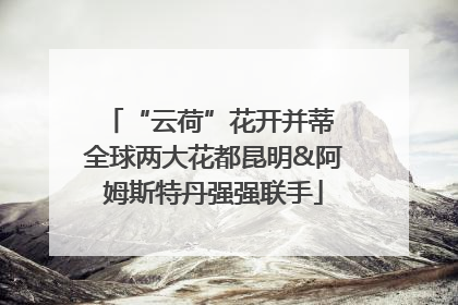 “云荷”花开并蒂 全球两大花都昆明&阿姆斯特丹强强联手