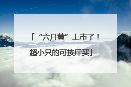 “六月黄”上市了！超小只的可按斤买