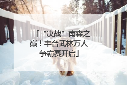 “决战”南森之巅！丰台武林万人争霸赛开启