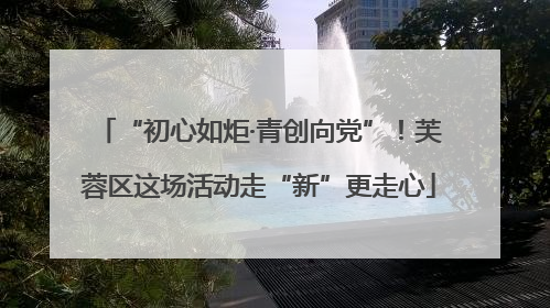 “初心如炬·青创向党”！芙蓉区这场活动走“新”更走心