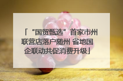 “国贸甄选”首家市州联营店落户随州 省地国企联动共促消费升级