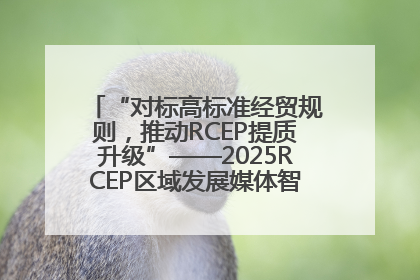 “对标高标准经贸规则，推动RCEP提质升级”——2025RCEP区域发展媒体智库论坛举行专题对话