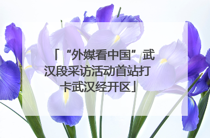 “外媒看中国”武汉段采访活动首站打卡武汉经开区