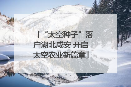 “太空种子”落户湖北咸安 开启太空农业新篇章
