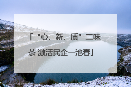 “心、新、质”三味茶 激活民企一池春