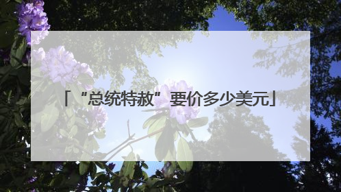 “总统特赦”要价多少美元