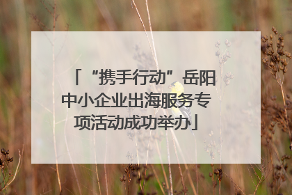 “携手行动”岳阳中小企业出海服务专项活动成功举办
