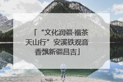 “文化润疆·福茶天山行”安溪铁观音香飘新疆昌吉