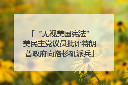 “无视美国宪法” 美民主党议员批评特朗普政府向洛杉矶派兵