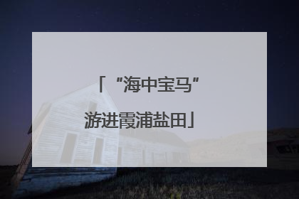 “海中宝马”游进霞浦盐田