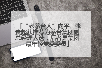 “老茅台人”向平、张贵超获推荐为茅台集团副总经理人选，后者是集团最年轻党委委员