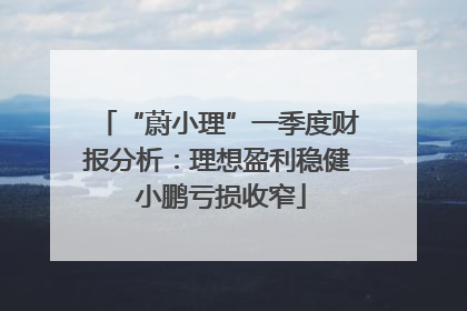 “蔚小理”一季度财报分析：理想盈利稳健 小鹏亏损收窄
