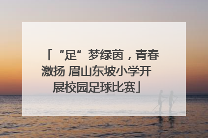 “足”梦绿茵，青春激扬 眉山东坡小学开展校园足球比赛