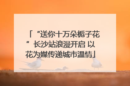 “送你十万朵栀子花”长沙站浪漫开启 以花为媒传递城市温情
