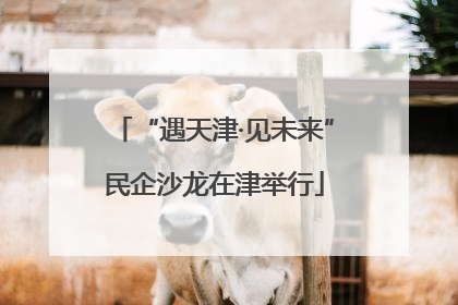 “遇天津·见未来”民企沙龙在津举行