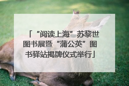 “阅读上海”苏黎世图书展暨“蒲公英”图书驿站揭牌仪式举行