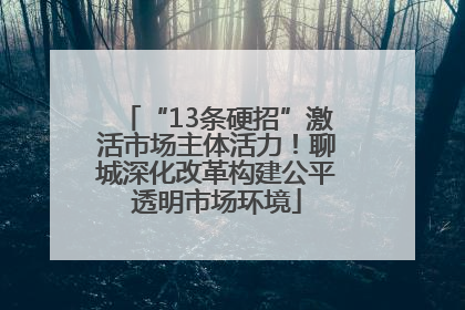 “13条硬招”激活市场主体活力！聊城深化改革构建公平透明市场环境
