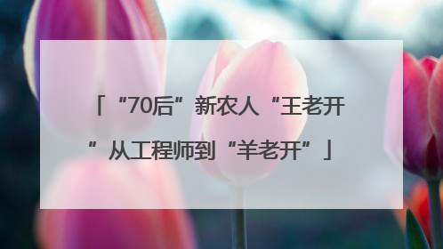 “70后”新农人“王老开”从工程师到“羊老开”