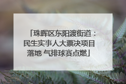 珠晖区东阳渡街道：民生实事人大票决项目落地 气排球赛点燃