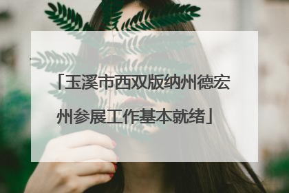 玉溪市西双版纳州德宏州参展工作基本就绪