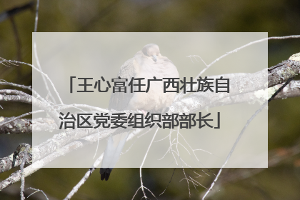 王心富任广西壮族自治区党委组织部部长