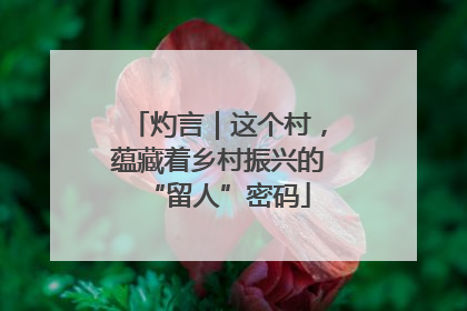 灼言｜这个村，蕴藏着乡村振兴的“留人”密码