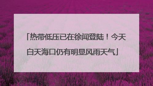 热带低压已在徐闻登陆！今天白天海口仍有明显风雨天气