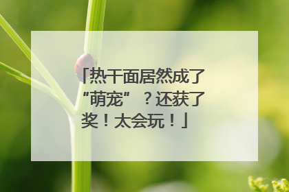 热干面居然成了“萌宠”？还获了奖！太会玩！