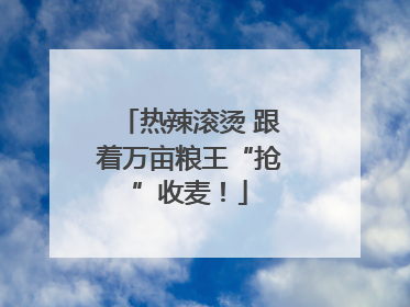 热辣滚烫 跟着万亩粮王“抢”收麦！