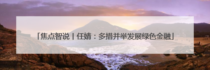 焦点智说丨任婧：多措并举发展绿色金融