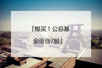爆买！公募基金重仓7股