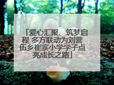 爱心汇聚、筑梦启程 多方联动为刘营伍乡崔寨小学学子点亮成长之路