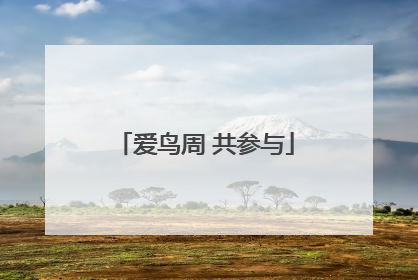 爱鸟周 共参与